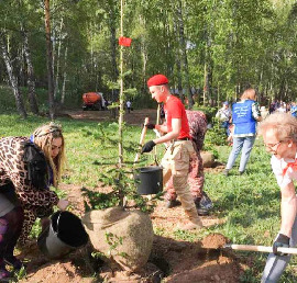 Члены Союза женщин р.п. Кольцово приняли участие в акциях «Сад памяти» и «Сирень Победы».