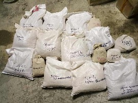Акция «Семена добра» прошла в Союзе женщин Новосибирской области.