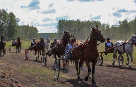 Союз женщин Татарского района принял участие в проведении районного праздника «Хлебное раздолье».